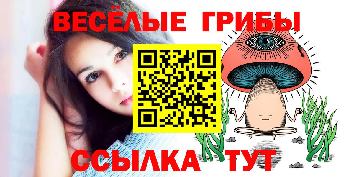 Псилоцибиновые грибы Psilocybine cubensis Нягань